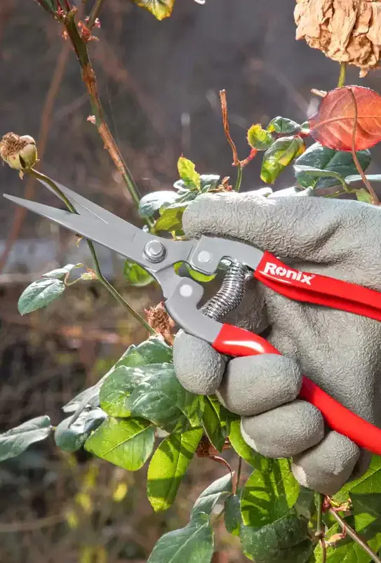 Fruit Shear